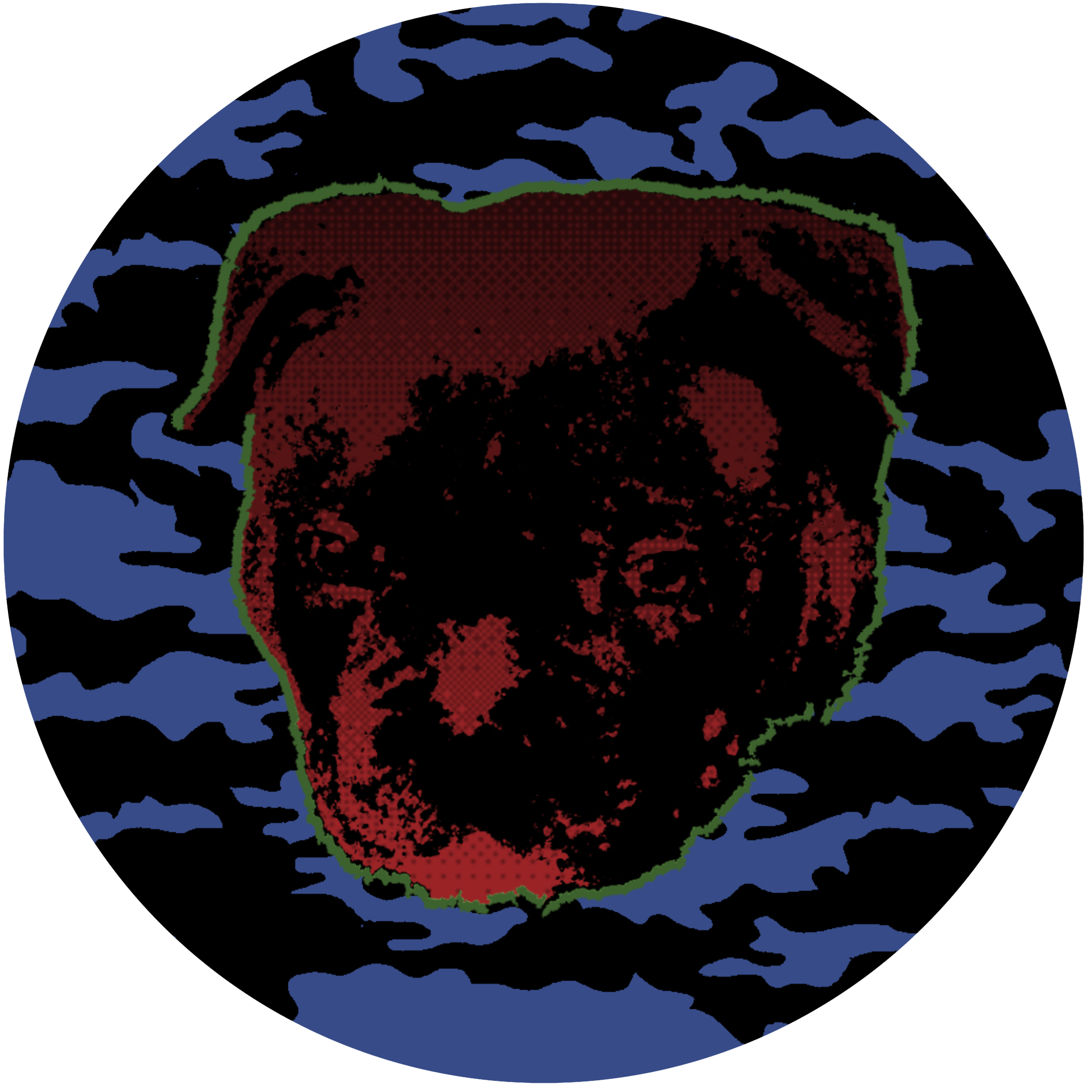 Rogue Records Logo